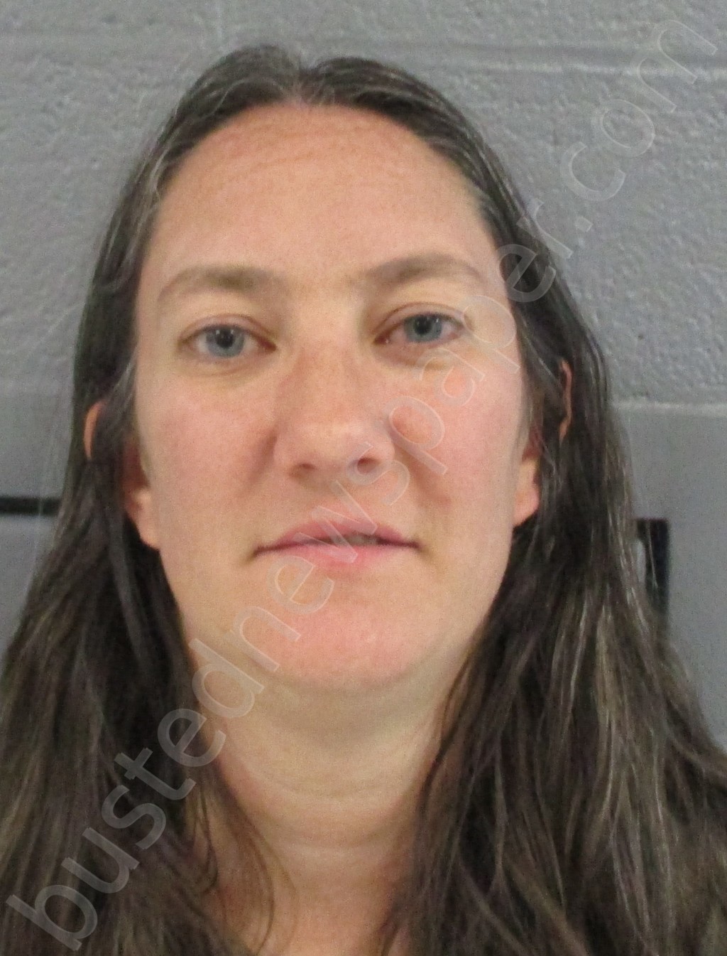 BINION, BRANDI LEIGHSHAFER #, Preston County, West Virginia - 2021-11-05 23:15:00