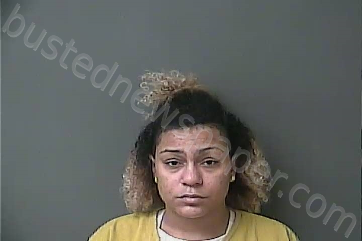 PRUDEN, MELISSA C #, Howard County, Indiana - 2021-11-06 00:15:37