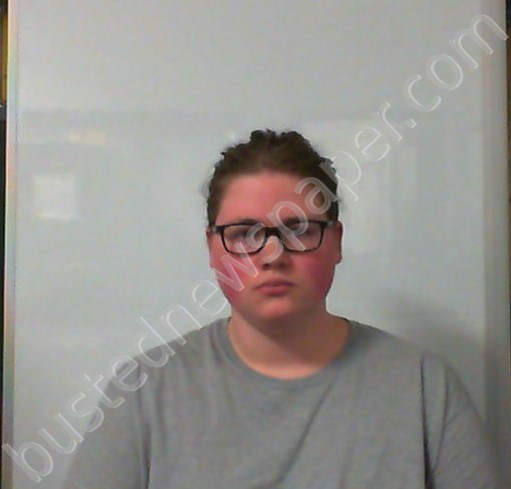 TAYLOR, SIMON ROBERT DANIEL #, Hampshire County, West Virginia - 2021-11-06 13:00:00