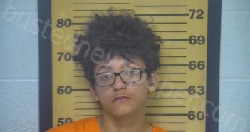 STIGALL, EVAN P | 2021-11-07 02:17:00 Ottawa County, Ohio Booking