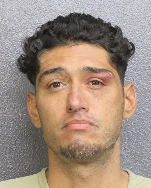 DAVIS, JONATHAN ROSS #, Broward County, Florida - 2021-11-08