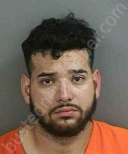 RUZCARVAJAL,LUIS ALFONZO | 2021-11-09 Collier County, Florida Booking