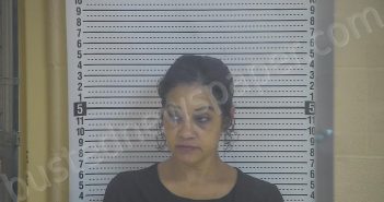 BREEZE, MICHELLE K. | 2021-11-09 01:06:00 Taylor County, Kentucky Booking