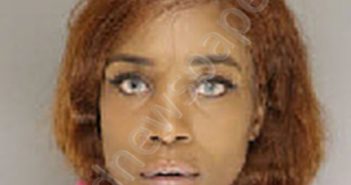 SMITH, CHRISTINA EVON | 2021-11-10 12:59:00 Moore County, North Carolina Booking