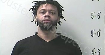 WHITE, ARMAND | 2021-11-11 13:30:00 Pulaski County, Indiana Booking