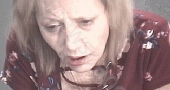 <B>WELLS</B>, <B>PATRICIA</B> LYNNE #, Pasco County, Florida - 2021-11-12 11:42:00