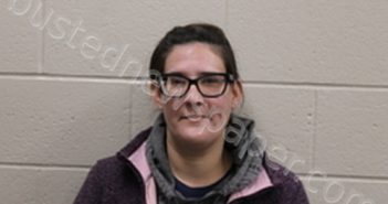 <B>DALYNN</B> <B>HENTON</B> #, Andrew County, Missouri - 2021-11-12 14:00:00