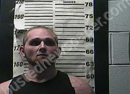 DOMINIQUE RAINES | 2021-11-12 03:31:00 Cocke County, Tennessee Booking