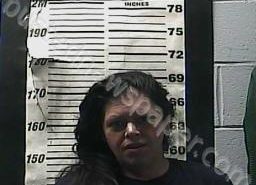 CINDY HEMBREE | 2021-11-12 00:23:00 Cocke County, Tennessee Booking