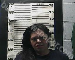 CINDY HEMBREE #, Cocke County, Tennessee - 2021-11-12 00:23:00
