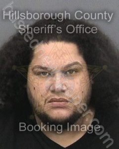 RODRIGUEZ,MIGUEL | 2021-11-12 06:48:00 Hillsborough County, Florida Booking