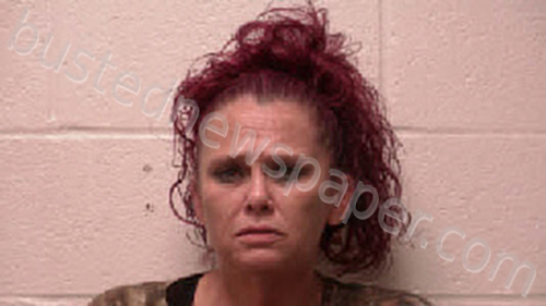 NICHOLS, JENNIFER ESTELLE #, Robertson County, Tennessee - 2021-11-13 18:16:00