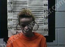BRANDI ELLISON | 2021-11-13 18:08:00 Cocke County, Tennessee Booking