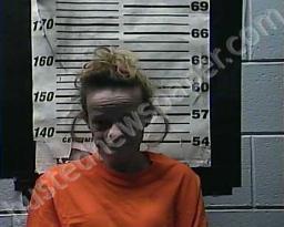 BRANDI ELLISON #, Cocke County, Tennessee - 2021-11-13 18:08:00