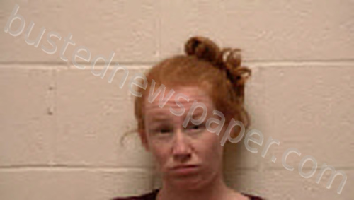 FORD, ANNA M #, Robertson County, Tennessee - 2021-11-13 17:42:00