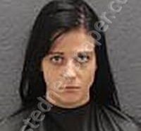 FANSLER, BRIANNA MARIE | 2021-11-14 Oconee County, South Carolina Booking