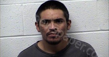 LEIJA HERNANDEZ, MIGUEL | 2021-11-14 Chase County, Kansas Booking