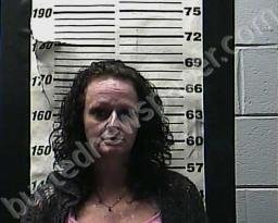 LASHANNON WILSON #, Cocke County, Tennessee - 2021-11-14 01:28:00