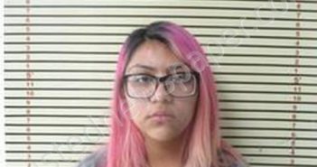 IRANIA GISSELLE RUBIO | 2021-11-14 10:32:00 Wagoner County, Oklahoma Booking