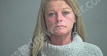 HAYNES AMY A | 2021-11-15 Sandusky County, Ohio Booking