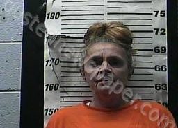 SUSAN WATTERSON | 2021-11-16 10:44:00 Cocke County, Tennessee Booking