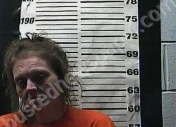 JENNIFER BRYANT | 2021-11-16 01:06:00 Cocke County, Tennessee Booking