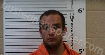 HANSON, GERALD LEWIS | 2021-11-17 17:58:00 Cherokee County, North Carolina Booking