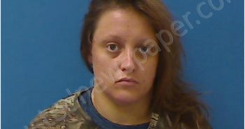 METCALF,BRITTON NICOLE | 2021-11-17 Catawba County, North Carolina Booking