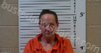 RAMSEY, HEATHER NICOLE | 2021-11-17 11:35:00 Cherokee County, North Carolina Booking