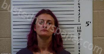 MCCARTY, SARAH MAE | 2021-11-18 15:31:00 Cherokee County, North Carolina Booking