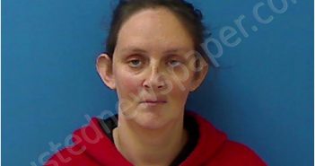 SMART,CHRISTY NICHOLE | 2021-11-18 Catawba County, North Carolina Booking
