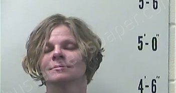 FLAGG, JESSICA | 2021-11-19 16:00:00 Pulaski County, Indiana Booking