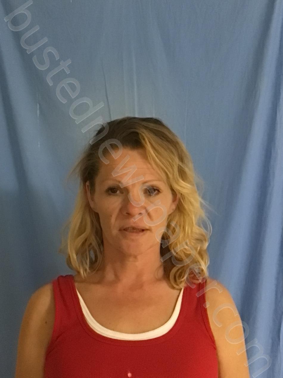 MICKE, SUSAN RENEE #, Henry County, Missouri - 2021-11-19 14:50:00