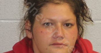 SHERRLL, TAMEKA SHALENE | 2021-11-20 01:41:00 Jackson County, North Carolina Booking