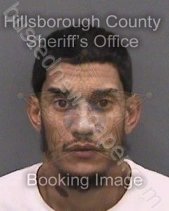 FLORES,MIGUEL JR | 2021-11-21 03:42:00 Hillsborough County, Florida Booking