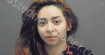 CAVAZOS, LAURA ELIZABETH | 2021-11-22 13:21:00 Dewitt County, Texas Booking
