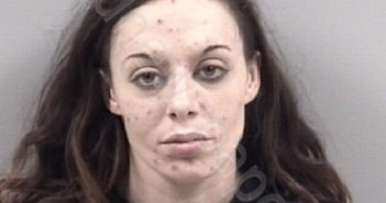 <B>JESSICA</B> ANN <B>MEADOWS</B> #, Johnston County, North Carolina - 2021-11-22