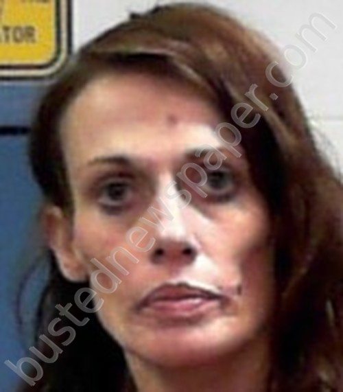 RINGER, ROSANNA MARIE #, Preston County, West Virginia - 2021-11-23 19:30:00