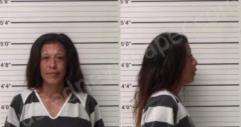 MENCHACA, ERICA RENEE | 2021-11-23 Kerr County, Texas Booking