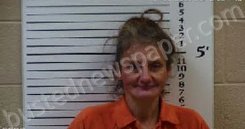 LANCE, KRYSTAL DAWN | 2021-11-24 23:45:00 Cherokee County, North Carolina Booking