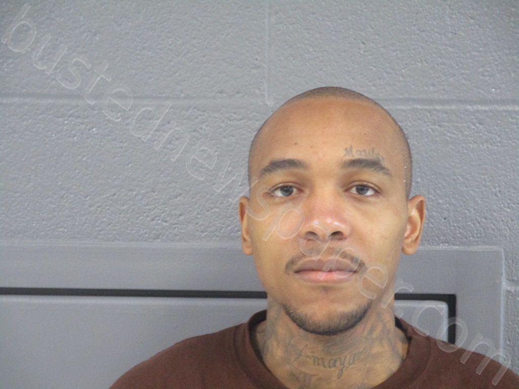 WILLIAMS, AMEADE #, Preston County, West Virginia - 2021-11-26 13:15:00