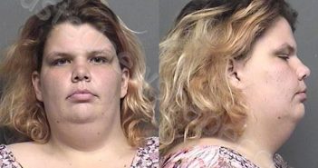 ARDIS,BRITTANY NICOLE | 2021-11-26 22:40:00 Saline County, Kansas Booking
