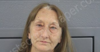 CASTEEL, TERESA LYNN | 2021-11-26 00:40:00 Preston County, West Virginia Booking