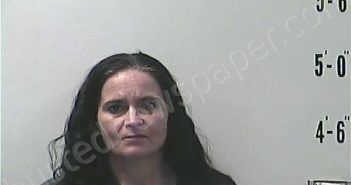 WRIGHT, MARGARET MARY | 2021-11-27 13:21:00 Pulaski County, Indiana Booking