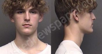 BRADLEY,TAEGAN LE | 2021-11-28 01:40:00 Saline County, Kansas Booking