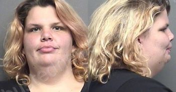ARDIS,BRITTANY NICOLE | 2021-11-28 16:10:00 Saline County, Kansas Booking