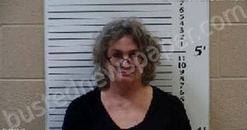STEIN, JOY LORI | 2021-11-29 13:25:00 Cherokee County, North Carolina Booking