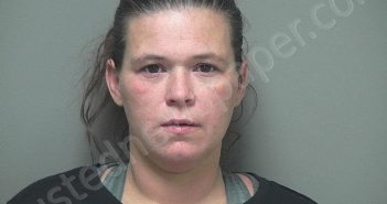 SLAGLE, PATRICIA ANN | 2021-11-30 11:31:00 Miami County, Ohio Booking