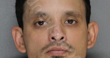 WARD, MICHAEL RENEE | 2021-11-30 14:04:00 Ellis County, Texas Booking