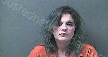 MARCINIAK, DOMINIQUE A | 2021-11-30 05:35:00 Laporte County, Indiana, La Porte County, Indiana Booking
